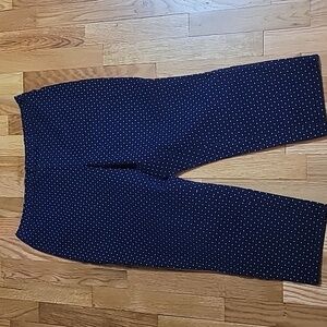 Isaac Mizrahi Blue/White Polka Dot Pull-On Pants - 16P